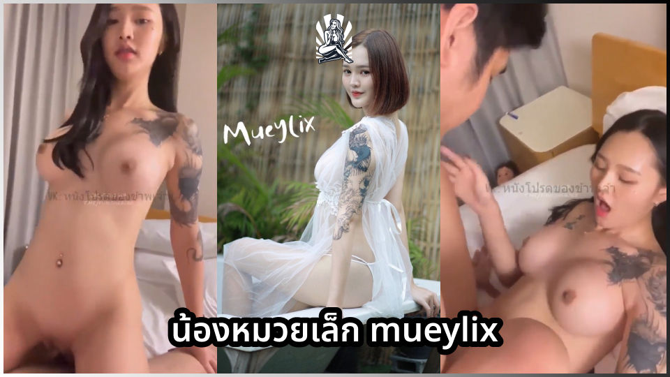 ไทยxxxx แตกในxxxx เสียงคราง เย็ดสาวไทย เย็ดสาวสวย